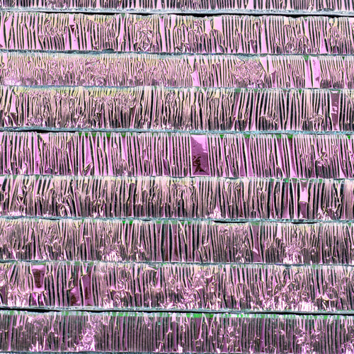 Pink Zebra Dichroic on Clear Strips Effetre Glass