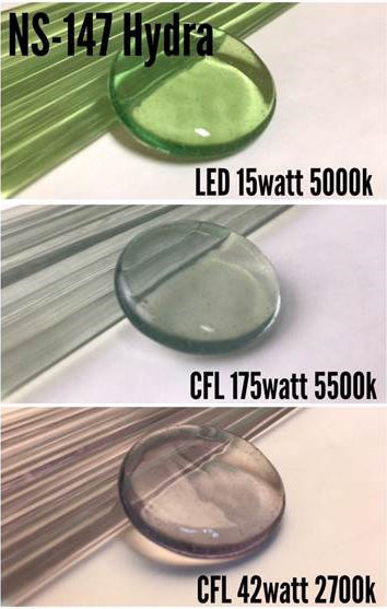 Hydra (multi-chromatic) Northstar Glass Rod