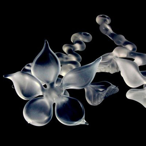 E-Class: Ghost Flowers Beginner Class with Julie Anne Denton