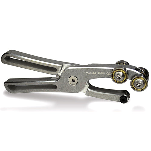 Taglia Scoring Tool- Economy